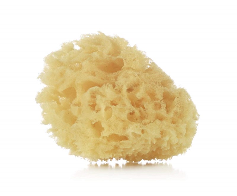 88860-ESPONJA NATURAL JANE X2(41-5)-0